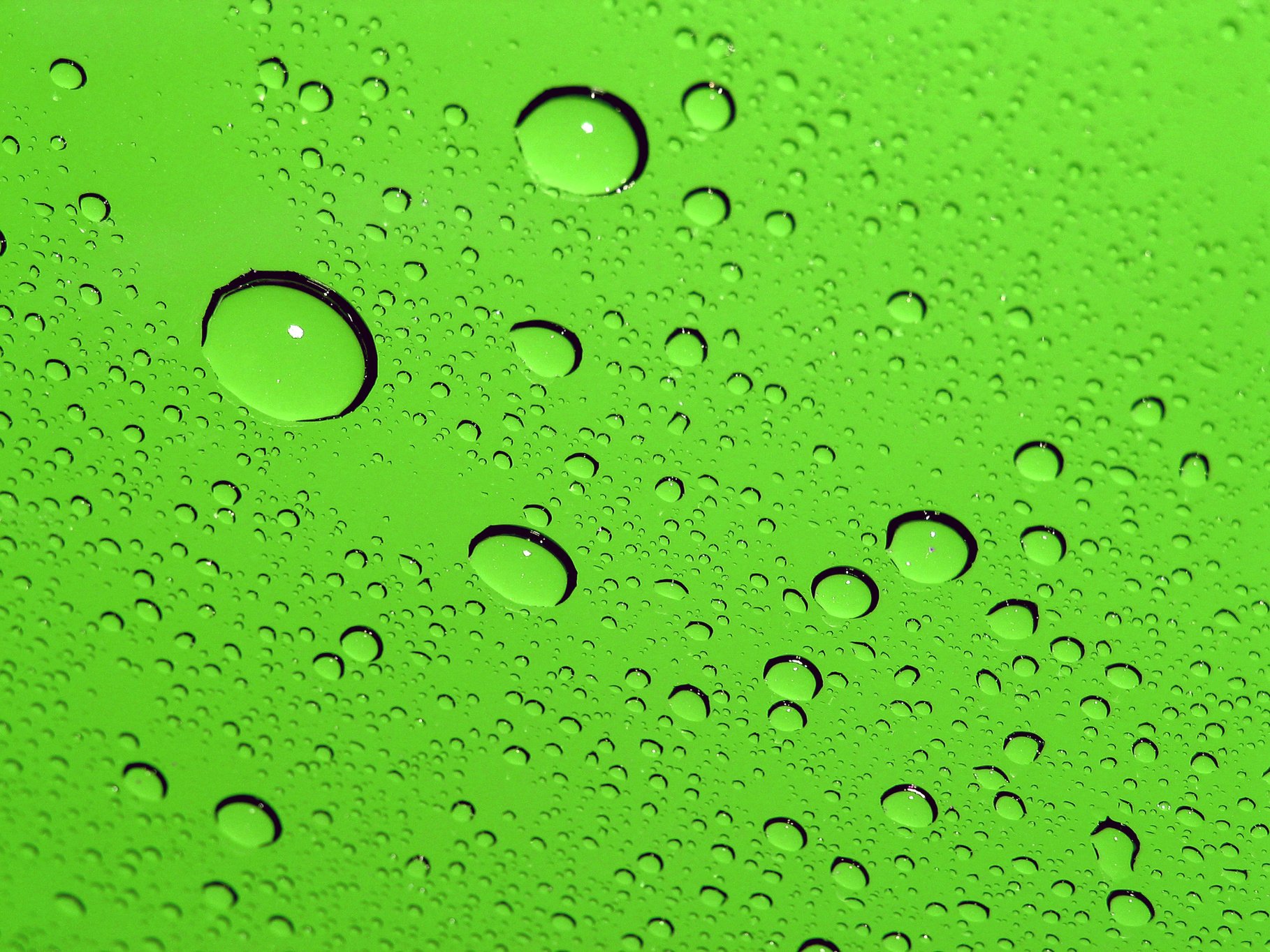 Lime Green Water Drops